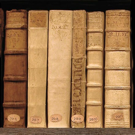 Облицовъчни плочи Books 1
