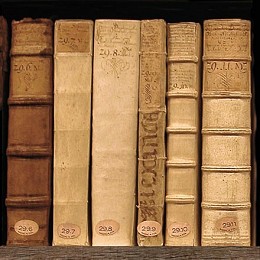Облицовъчни плочи Books 1